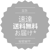 スパイBluetoothイヤホンを送料無料でオンライン購入